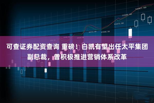 可查证券配资查询 重磅！白凯有望出任太平集团副总裁，曾积极推进营销体系改革